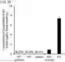 Fig. 37 - QUANTITATIVE DETERMINATION METHOD FOR Hex4, LYSO-GM1, Fuc-GlcNAc-Asn, AND LYSO-SULFATIDE INCLUDED IN CEREBROSPINAL FLUID