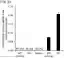 Fig. 38 - QUANTITATIVE DETERMINATION METHOD FOR Hex4, LYSO-GM1, Fuc-GlcNAc-Asn, AND LYSO-SULFATIDE INCLUDED IN CEREBROSPINAL FLUID