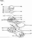 Fig. 06 - LATERAL FLOW DEVICE