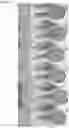 Fig. 13 - LATERAL FLOW DEVICE