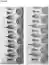 Fig. 19 - LATERAL FLOW DEVICE