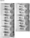 Fig. 20 - LATERAL FLOW DEVICE