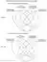Fig. 134 - METHODS FOR IDENTIFYING DIFFERENTIAL HISTONE RETENTION FOR EPIGENETIC ALTERATIONS IN GERMLINE DNA OF ANIMALS