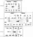 Fig. 136 - METHODS FOR IDENTIFYING DIFFERENTIAL HISTONE RETENTION FOR EPIGENETIC ALTERATIONS IN GERMLINE DNA OF ANIMALS