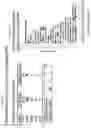 Fig. 289 - METHODS FOR IDENTIFYING DIFFERENTIAL HISTONE RETENTION FOR EPIGENETIC ALTERATIONS IN GERMLINE DNA OF ANIMALS