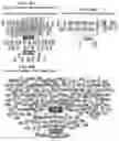 Fig. 324 - METHODS FOR IDENTIFYING DIFFERENTIAL HISTONE RETENTION FOR EPIGENETIC ALTERATIONS IN GERMLINE DNA OF ANIMALS
