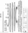 Fig. 325 - METHODS FOR IDENTIFYING DIFFERENTIAL HISTONE RETENTION FOR EPIGENETIC ALTERATIONS IN GERMLINE DNA OF ANIMALS