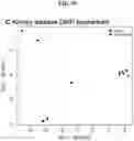 Fig. 64 - METHODS FOR IDENTIFYING DIFFERENTIAL HISTONE RETENTION FOR EPIGENETIC ALTERATIONS IN GERMLINE DNA OF ANIMALS