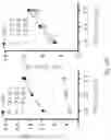 Fig. 18 - METHODS FOR ASSESSING CARDIOVASCULAR DISEASE OR INFLAMMATORY DISEASE RISK USING NON-EXCHANGEABLE LIPID PROBE