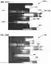Fig. 18 - TAILORED SAMPLE HANDLING BASED ON SAMPLE AND/OR SAMPLE CONTAINER RECOGNITION