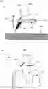 Fig. 01 - Apparatus and method for examining and/or processing a sample