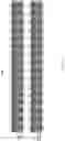 Fig. 07 - Diagnostic enhancement for multiple instances of identical structures