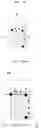 Fig. 14 - Method of analyzing a shape of an object and an apparatus for tracking an object using a LiDAR sensor