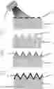 Fig. 01 - Optical transmission element, having a super-hydrophobic nanostructured surface having an anti-reflective property and covered with a compliant high-density thin film deposit
