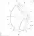 Fig. 26 - Light source lens, illumination unit, and display unit