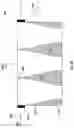 Fig. 42 - Systems and methods for forming energy relays with transverse energy localization