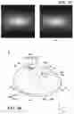 Fig. 24 - LENS FOR WIDE DIFFUSION LIGHT