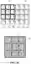 Fig. 05 - Systems and methods for an improved camera system using directional optics to estimate depth