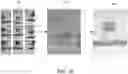 Fig. 06 - Systems and methods for an improved camera system using directional optics to estimate depth