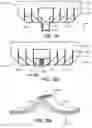 Fig. 22 - Automobile with conformal film-based lightguide