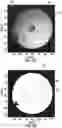 Fig. 21 - Methods for detection of contaminants on optical fiber connectors