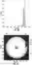 Fig. 26 - Methods for detection of contaminants on optical fiber connectors