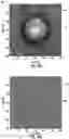 Fig. 33 - Methods for detection of contaminants on optical fiber connectors