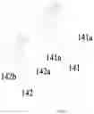 Fig. 08 - Adapter