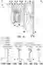 Fig. 10 - Optical imaging lens