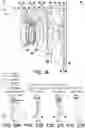 Fig. 19 - Optical imaging lens