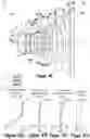 Fig. 34 - Optical imaging lens including eight lenses of +-++--+-, +-+---+- or +-++-++- refractive powers
