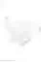 Fig. 28 - Optical imaging lens