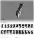 Fig. 10 - MICRO 3D VISUALIZATION AND SHAPE RECONSTRUCTION COMPOSITIONS AND METHODS THEREOF