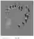 Fig. 11 - MICRO 3D VISUALIZATION AND SHAPE RECONSTRUCTION COMPOSITIONS AND METHODS THEREOF
