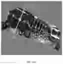 Fig. 12 - MICRO 3D VISUALIZATION AND SHAPE RECONSTRUCTION COMPOSITIONS AND METHODS THEREOF