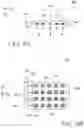 Fig. 06 - Display device with transparent illuminator