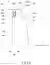 Fig. 09 - WEARABLE ELECTRONIC DEVICE INCLUDING LIGHT EMITTING UNIT