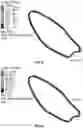 Fig. 14 - Eyewear display having offset bonding