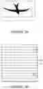 Fig. 04 - BIRD FRIENDLY ELECTROCHROMIC DEVICES