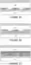 Fig. 16 - BIRD FRIENDLY ELECTROCHROMIC DEVICES
