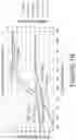 Fig. 21 - BIRD FRIENDLY ELECTROCHROMIC DEVICES