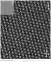 Fig. 09 - Programming emergent symmetries with saddle-splay elasticity