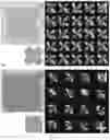 Fig. 12 - Programming emergent symmetries with saddle-splay elasticity