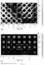 Fig. 14 - Programming emergent symmetries with saddle-splay elasticity