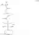 Fig. 15 - RESIST COMPOSITION AND METHOD OF FORMING RESIST PATTERN