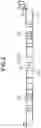 Fig. 04 - Image forming apparatus