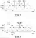 Fig. 05 - Method for controlling vehicles repeating a cycle