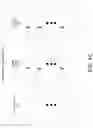 Fig. 10 - Late update of eye tracking information to GPU for fast foveated rendering