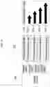 Fig. 26 - Feedback device and method for providing thermal feedback by means of same