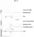 Fig. 28 - Feedback device and method for providing thermal feedback by means of same